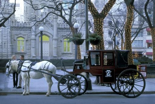 horsedrawn